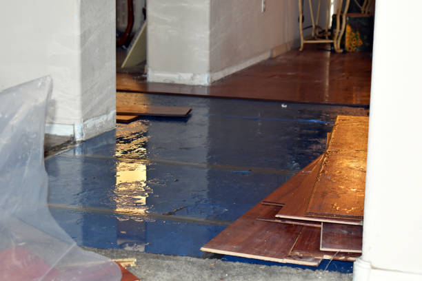 Professional Water Damage Repair technician working in Danforth, ME
